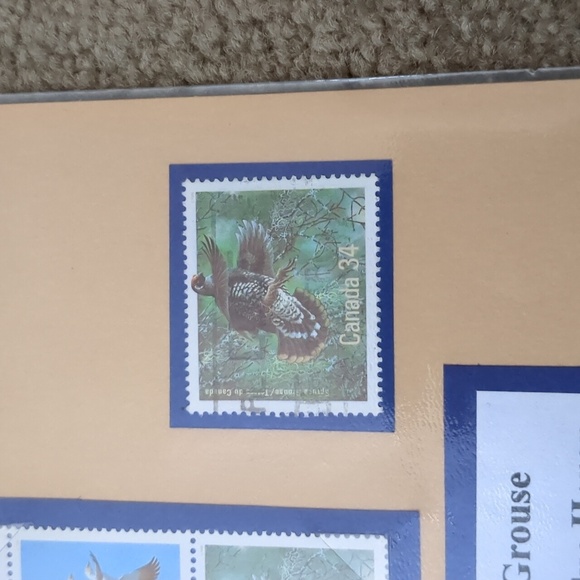 Canada's Most Beautiful Bird Stamps Collection - Picture 3 of 7